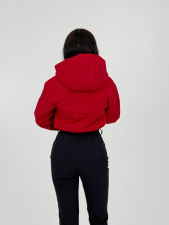 Демисезонный женский горнолыжный комбинезон Вишня